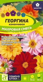 Цветы Георгина изменчивая Махровая смесь окрасок/Сем Алт/цп 0,2 гр.