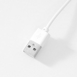 Сувенир стекло подсветка "Одуванчик" d=6 см подставка дерево, USB 6,5х6,5х7,5 см