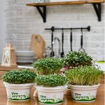 Готовые наборы для проращивания микрозелени