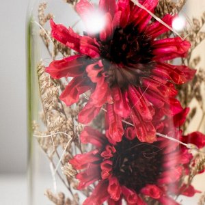 RISALUX Ночник колба &quot;Бордовые цветы&quot; LED от батареек 3ХLR44 10Х10Х20 см