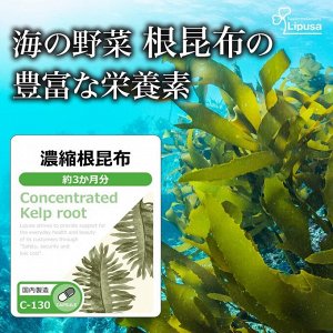 LIPUSA Concentrated Kelp Root - экстракт корней ламинарии в капсулах