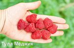 Тула Меджик
