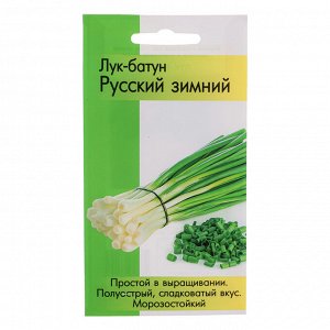 Семена Лук батун Русский зимний 0,2 гр