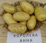 Картофель Королева Анна, 3 кг, средне спелый сорт