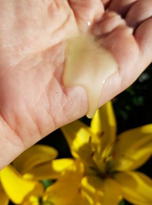 Рецепты бабушки Агафьи Густой Шампунь Агафьи для тонких и ослабленных волос, 350 мл
