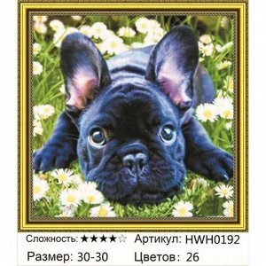 Алмазная мозаика круглые стразы 30х30 см