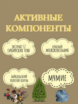 Рецепты бабушки Агафьи Особый Шампунь Агафьи против выпадения волос, 350 мл EXPS