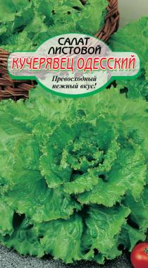 Одесский кучерявец салат 0,5гр Р (ссс)
