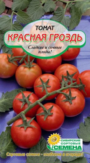 Красная гроздь томат 20шт Р (ссс)