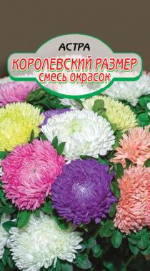 Королевский размер, Смесь окрасок астра 0,2г (ссс)