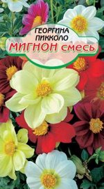 Пикколо мигнон смесь, георгина 35см 0,2гр.(ссс)