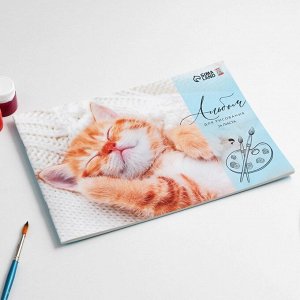 Альбом для рисования на скрепках А4, 24  листа «Котик»  (мелованный картон 160 гр, бумага 100 гр).