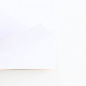 Двойной блокнот на гребне «Выпускник начальной школы»,мягкая обложка, размер 15 см х 12 см, 48 листов.