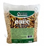 Сидерат Овес 1кг Фазенда Сибири, семена овса