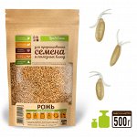 Рожь для проращивания, 500 г