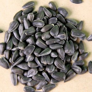 Подсолнечник в скорлупе семена микрозелени, 500 г