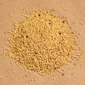 Амарант зелёный семена микрозелени, 100 г