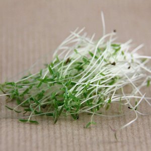 Амарант зелёный семена микрозелени, 100 г