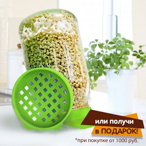 Никольские проростки Крышка-сито (самый дешевый проращиватель)