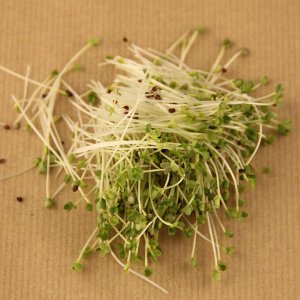 Репа семена микрозелени, 100 г