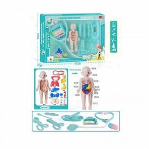 030-2 набор игровой доктора (анатомия), в кор. 40003