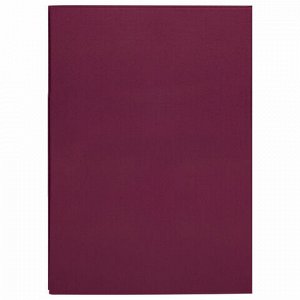 Книга учета 96 л., клетка, твердая, бумвинил, офсет, герб, А4 (200х290 мм), BRAUBERG, бордовая, 130276