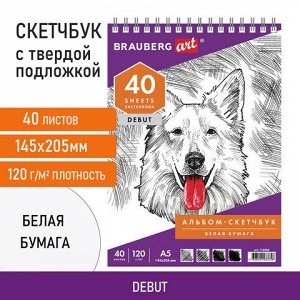 Скетчбук, белая бумага 120 г/м2, 145х205 мм, 40 л., гребень, жёсткая подложка