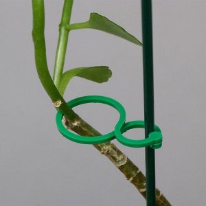 Набор креплений для растений, 4 х 3 см, набор 30 шт, "Greengo