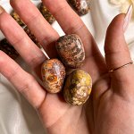 Галтовка из леопардовой Яшмы