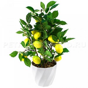 - 70971 - Декоративное дерево "Лимон" h60см в горшке д19,5см h17см (Китай). 