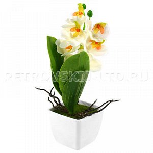 - 77714 - Цветочная композиция "Орхидея-мини" h23см, в пластмассовом горшочке 7х7см h6,2см (Китай). 