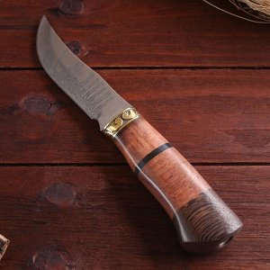 Нож охотничий "Таежник", в чехле, 23 см, лезвие с узором, рукоять деревянная со вставкой.