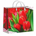 Полиэтиленовый пакет с пластиковой ручкой 30*30 см &quot;Браво&quot;
