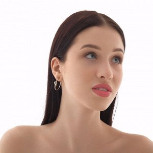 Серьги-кольца «Перерождение» классика, d=2.5 см, цвет серебро