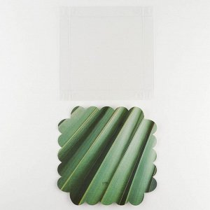 Коробка для печенья, кондитерская упаковка с PVC крышкой, «Эко», 18 х 18 х 3 см