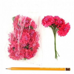Цветок темно-розовый (хризантема)