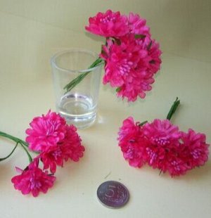 Цветок темно-розовый (хризантема)