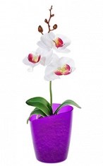 Кашпо Кашпо  0,8л для орхидей БАКЛАЖАН. Прозрачный горшок Mia предназначен для самых маленьких представителей орхидного мира и изготовлен с учетом особенностей этих капризных растений, корневая систем