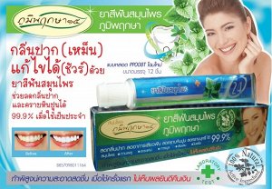 Зубная паста PrimPerfect herbal tooth paste 50г