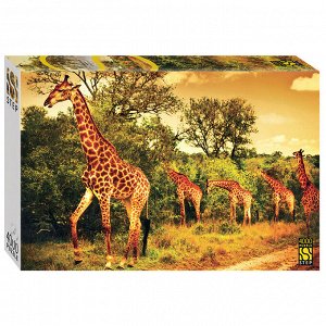 Степ. Пазл 4000 арт.85420 "Южноафриканские жирафы"