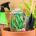Семена Горох &quot;Амброзия сахарный&quot;, 10 г