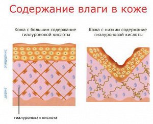 доп инфо крема влагу. Она способствует удержанию влаги в коже, т.е. она усилит действие вашего увлажняющего крема!