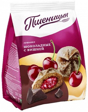 Пряники Пшеницын 200гр шоколадные с вишней Агеевский КК