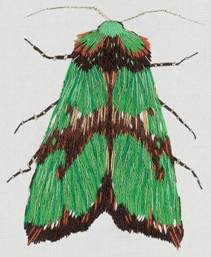 Набор для вышивания "PANNA" "Живая картина" JK-2179 "Зеленый мотылек" 5.5 х 6.5 см