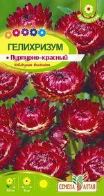 Цветы Гелихризум Пурпурно-красный/Сем Алт/цп 0,2 гр.