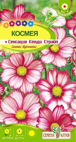 Цветы Космея Сенсация/Сем Алт/цп 0,5 гр.