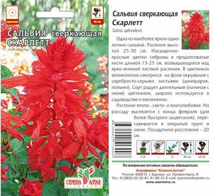 Цветы Сальвия Скарлетт сверкающая/Сем Алт/цп 0,1 гр.