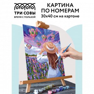 Картина по номерам на картоне ТРИ СОВЫ ""Воздушные шары"", 30*40, с акриловыми красками и кистями