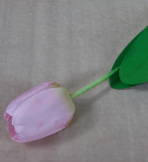 Тюльпан Высота около 65 см, высота цветка около 7 см.