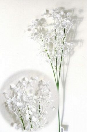 Гипсофила цветок искусств.белый,зеленый
